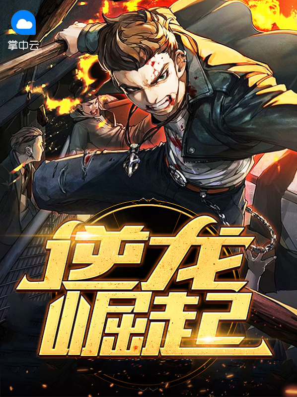 龙婿崛起免费阅读