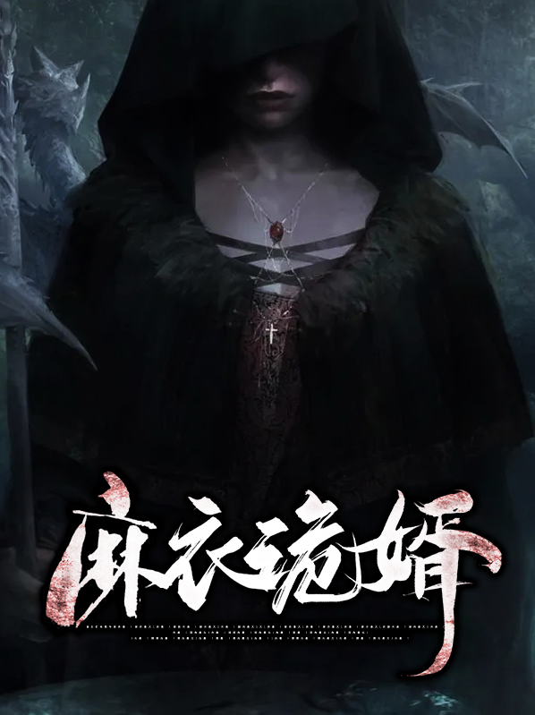 麻衣龙婿免费阅读
