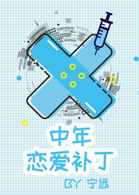 中年恋爱补丁免费阅读全文