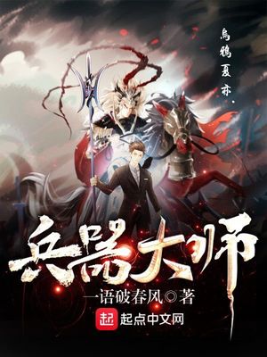 武器大师小说