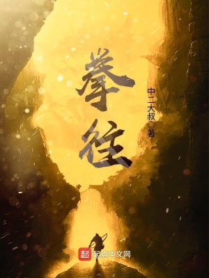 拳往,章节