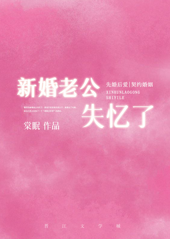 新婚老公不简单电视剧