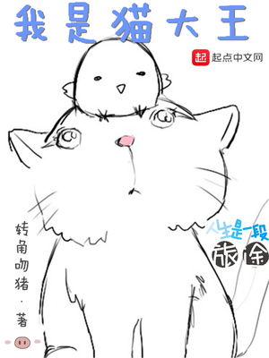 我是猫大王笔趣阁