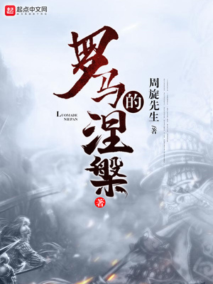 罗马的涅 小说