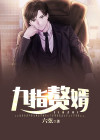 赘婿九个老婆