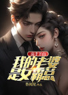 老婆是高手的小说
