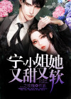 宁小姐和他的顾先生电视剧