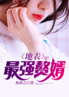 地表最强赘婿 小说