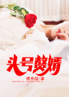 头号赘婿