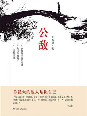 公敌