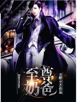 至尊奶爸凌云归来