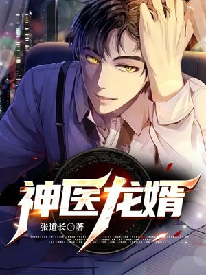 神医龙婿TXT下载