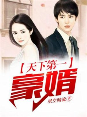 天下第一豪婿叶辰柳若雪