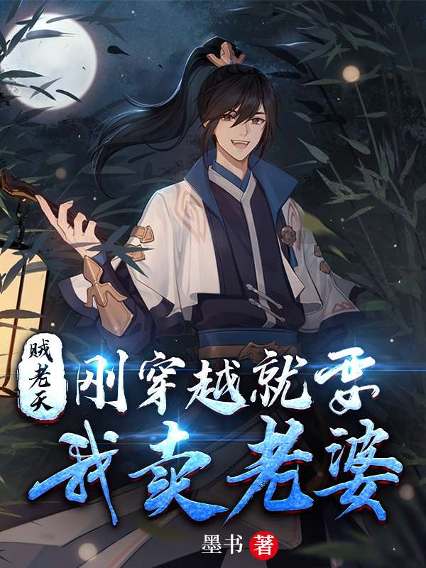 贼老天,刚穿越就让我卖老婆? 作者:墨书