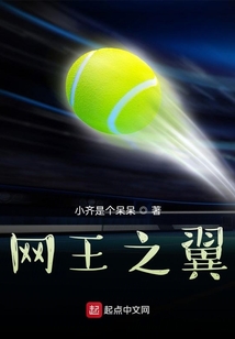 网王之意