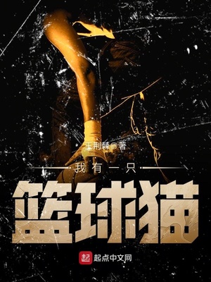 我有一个篮球作文