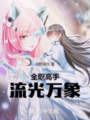 全职高手流光万象小说