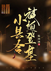 小县令被迫登基(基建)临西洲68