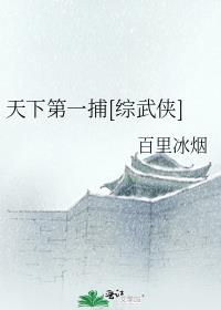天下第一捕[综武侠]百度网盘TXT下载