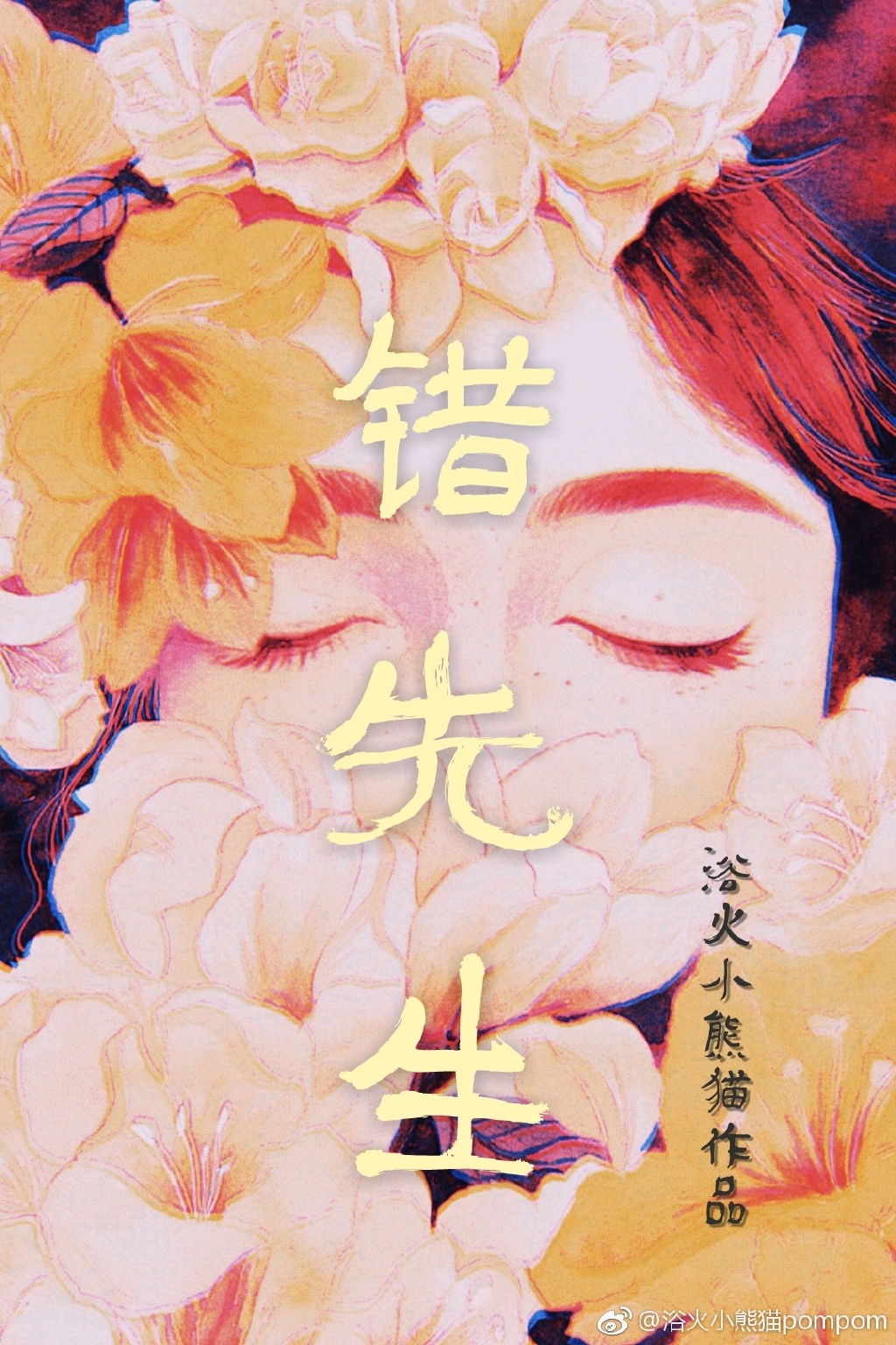 错先生 小说
