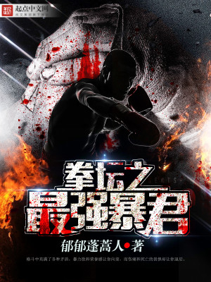 拳坛之王