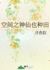 空间之神仙也种田