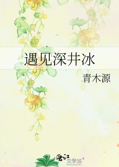 遇见深井冰小说讲什么
