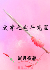 文穿之宅斗克星