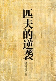 匹夫的逆袭精校版TXT
