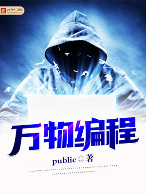 万物编程器小说