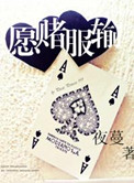 愿赌服输樊景叶羽骁小说