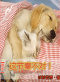 重生这节奏不对全文免费阅读