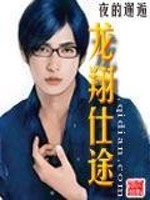 龙翔仕途TXT免费下载