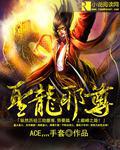圣龙邪尊小说