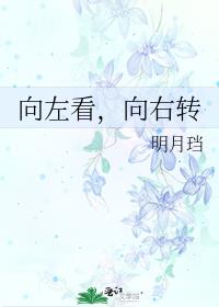 向左看,向右转 百度网盘