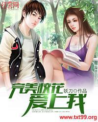 我的完美校花女主有几个