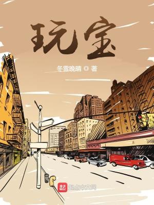 玩宝可梦朱紫需要什么设备