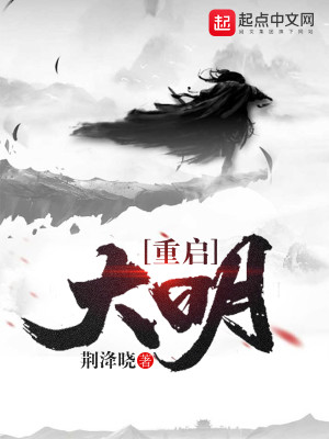 重启大明王朝 宝王