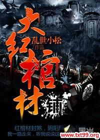 大红棺材铺小说
