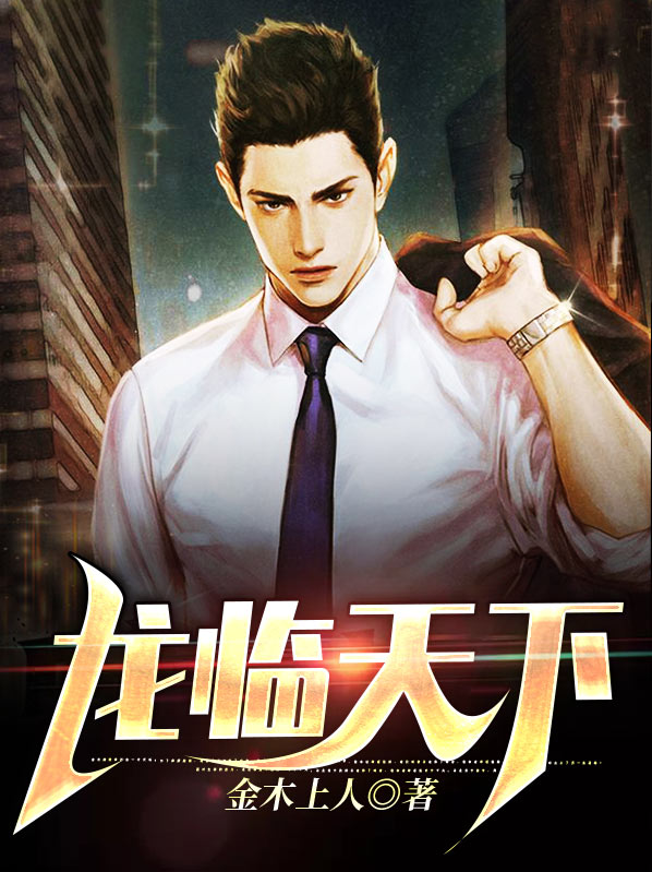 龙临天下小说