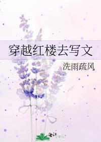 穿越红楼去写文洗雨疏风