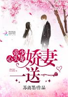帝少心尖宠,娇妻,别再逃