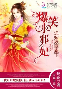 爆笑王妃邪魅王爷宠不停