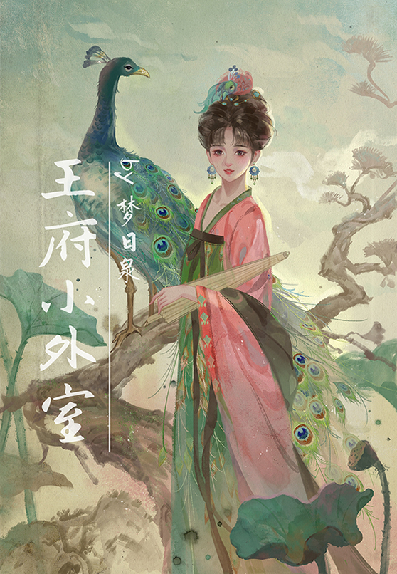 王府小外室晋江