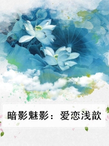 暗夜魅影原型