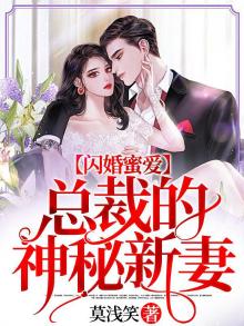 闪婚蜜爱:总裁的神秘新妻 莫浅笑