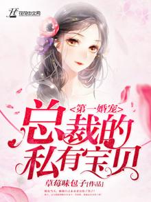 第一婚宠总裁的私有宝贝免费阅读全文