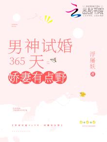 男神试婚365天:娇妻有点野