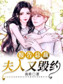 报告总裁您找错夫人了
