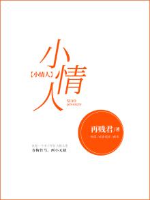 小情人电视剧剧情介绍